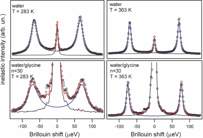 Thermodynamic hydration shell behavior of glycine | The Journal of ...