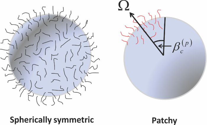 Molecular theory for self assembling mixtures of patchy colloids and ...