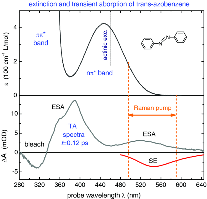 Excited-state Raman spectroscopy with and without actinic excitation ...