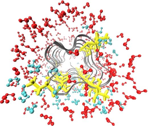 A schematic picture showing the “hydration funnel,” i.e., a retardation of the hydration bond dynamics towards the ice binding site in close proximity to the surface of Dendroides antifreeze protein.31 The β-helical right-handed helix of the protein is shown in silver, and threonine residues located at the ice-binding site are shown in yellow. The strongly retarded water molecules at the ice-binding site are colored in cyan and the ones farther away are in red.