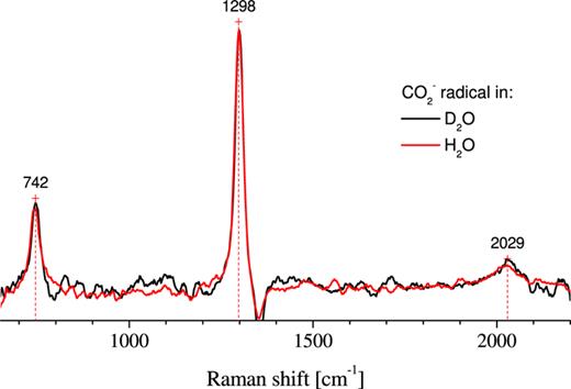 FIG. 4. Comparison of the resonance Raman spectra of CO2− in light and heavy water.