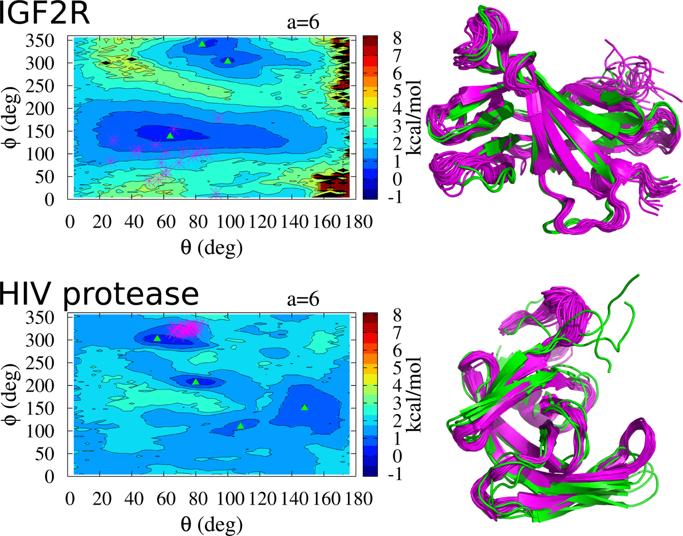 Mode localization in the cooperative dynamics of protein recognition ...