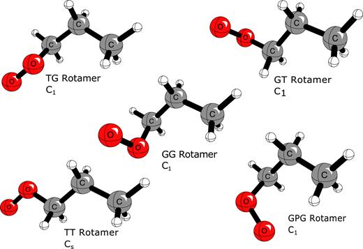 FIG. 1. Equilibrium structures including point-group symmetry for each of the rotamers of the n-propylperoxy radical computed with the CCSD(T)/ANO0 method. See supplementary material for bond distances and angles.