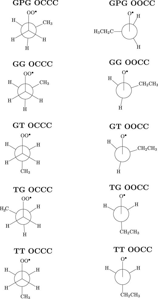 FIG. 3. Newman projections for the ∠OOCC and ∠OCCC dihedral angles for each ground state rotamer of the n-propylperoxy radical. See supplementary material for bond distances and angles.