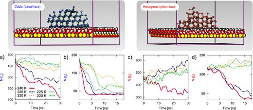 FIG. 2. Seeded MD simulations of heterogeneous ice nucleation on the KAOOH surface. Ice nuclei of Ic (top, blue) and Ih (bottom, red), as obtained from metadynamics simulations provided high-quality starting points in terms of the hydrogen bond network between ice and the kaolinite surface. The number λ of ice-like molecules within the largest connected cluster is reported as a function of time for seeds with initial sizes of about 250 and 450 ice molecules of Ic [(a) and (b)] and Ih [(c) and (d)]. For each seed five different temperatures (220, 225, 230, 235 and 240 K) have been considered.