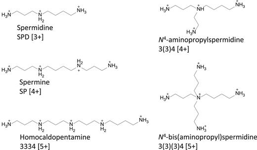 SCHEME 1. Structures of linear- and branched-chain polyamines examined in this study.