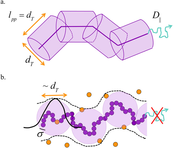Segment-scale, force-level theory of mesoscopic dynamic localization ...