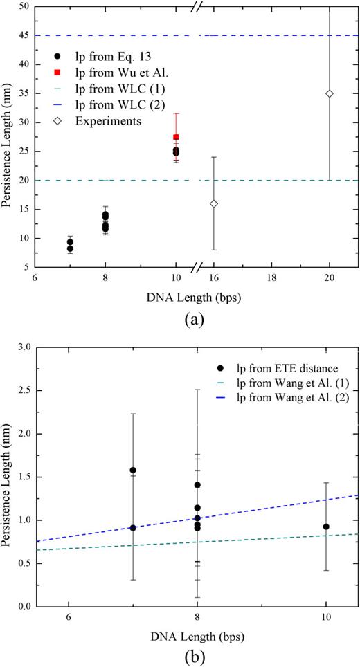 FIG. 4. (a) Persistence lengths of the double stranded molecules. The persistence length was calculated using Eq. (20) (circle) and those parameters from Table I. Experimental persistence lengths (diamond) were calculated in Ref. 53, where an estimate of the persistence length from simulations for the duplex GCATCTGGGC is also provided (red square). Dashed lines correspond to persistence lengths calculated from the WLC model (blue from Ref. 53, green from Ref. 54). (b) Persistence lengths of the single stranded molecules calculated from molecular dynamics simulations using the end-to-end (ETE) distance.53 Dashed lines correspond to persistence lengths calculated in Ref. 55.