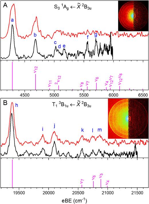 FIG. 2. (a) SEVI spectra of the S0 1Ag ← X̃ 2B3u transition of anthracene, acquired at 5986 cm−1 (black trace, inset image) and 7994 cm−1 (red trace) (b) SEVI spectra of the T1 3B1u ← X̃ 2B3u transition of anthracene, acquired at 21 500 cm−1 (black trace, inset image) and 22 503 cm−1 (red trace). FC stick spectra (magenta), calculated at the cam-B3LYP/def2-TZVP level, are shown below each set of SEVI spectra. The active vibrations are those of ag symmetry (12 total).