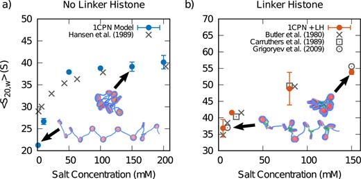 FIG. 12. Sedimentation coefficient, ⟨S20,w⟩, for short chromatin fibers containing 12 nucleosomes, as a function of salt concentration in the (a) absence and (b) presence of the linker histone. The nucleosome repeat length of these fibers is 207 base pairs. The agreement between the 1CPN model (colored points) and available experimental measurements (gray points) is good.