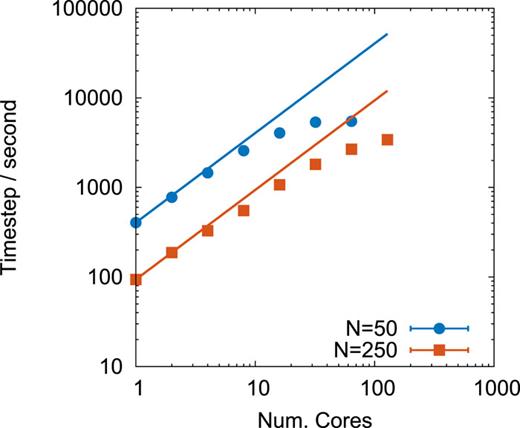 FIG. 13. Performance of the 1CPN model for 50 and 250 nucleosome chromatin fibers. Lines indicate ideal scaling. Error bars are smaller than the symbols.