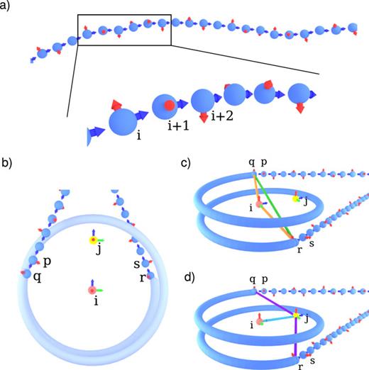 FIG. 3. Bonded interactions in the 1CPN model. (a) DNA is represented by a twistable wormlike chain as defined in Eq. (14). The f^ and û vectors of each DNA bead are given by the red and blue arrows. (b) Bonded interactions within the nucleosome. Indices i, j denote the nucleosome and dyad sites, while p, q, r, s denote the DNA sites involved in the bonded nucleosome interactions. These indices will be used throughout Sec. II C 2 while discussing the various aspects of the 1CPN force field. (c) Bonded interactions within UNDNA as defined in Eq. (19). (d) Bonded interactions within Udyad as defined in Eq. (24).