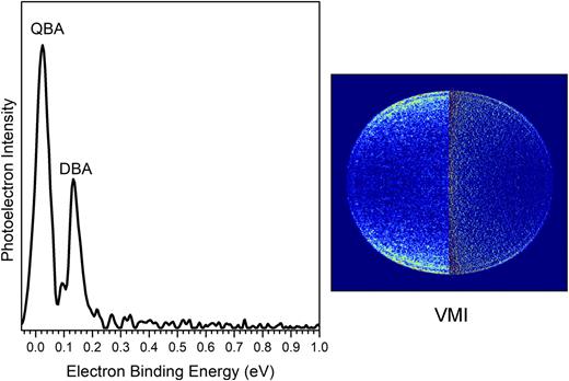 FIG. 2. At left: Anion photoelectron spectrum showing both quadrupole- and dipole-bound succinonitrile anions made by collisions of succinonitrile molecules with Rydberg potassium atoms, K**(11d). At right: The corresponding velocity mapping image (VMI), taken with linearly polarized light that was aligned perpendicular to the direction of the anion beam. The left side shows its raw image, while the right side shows its processed image. Note the two rings at the outer edge of the image.
