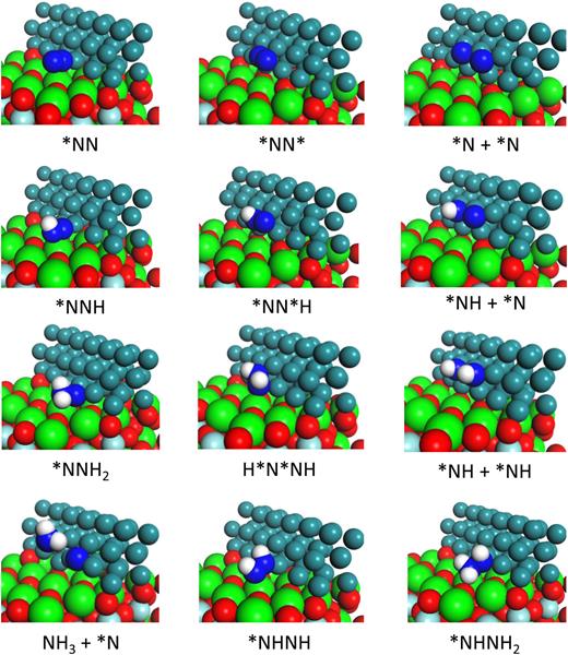 FIG. 3. The optimized structures of various NxHy* (x = 1–2, y = 0–3) at the Ru-SZO interface. The atoms with asterisk (*) indicate the adsorbed species. Ru atoms are shown in dark green, Sr in light green, Zr in light blue, O in red, H in white, and N in blue.