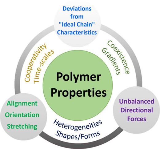The memorizing capacity of polymers | The Journal of Chemical Physics ...