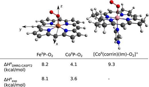 FIG. 1. DMRG-CASPT2 standard binding enthalpy ΔHDMRG−CASPT2○ of O2 to MIIP (M = Fe and Co) and [CoII(corrin)(Im)]+. Experimental values were obtained for four-coordinate ferrous and cobaltous porphyrin sites in metal–organic frameworks.82,83