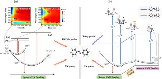 FIG. 7. Ultrafast photoinduced dynamics of the trans-azobenzene revealed by (a) transient spectroscopy in the UV–Vis spectral region166 and (b) time-resolved NEXAFS spectroscopy, employing a combination of UV and x-ray pulses.167 In (a), the ππ* → nπ* internal conversion dynamics along the symmetric bending coordinate is revealed (in both theory and experiment) by the disappearance of the ππ* PA signals (PA1 and PA2), accompanied by the appearance of the nπ* PA signal. In (b), the key molecular motions (CNN symmetric and asymmetric bending and CNNC torsion) that bring the molecule from the nπ* Franck–Condon point to the minimum energy conical intersection (CI) with the ground state evoke changes in two intense NEXAFS pre-edge features. These correspond to 1s → n and 1s → π* transitions. Note that the shortest distance between the two peaks is reached at the CI.