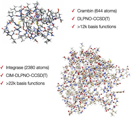 FIG. 2. Crambin was the first whole protein to be treated with a CCSD(T) level calculation in 2013. The currently largest coupled cluster calculation with ORCA features the integrase protein with 2380 atoms and more than 22 000 basis functions. The latter calculation was made possible by the combination of DLPNO-CCSD(T) with cluster-in-molecules concepts.