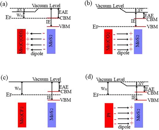 FIG. 3. Schematic illustration of band alignment at the interface of Mo2C(OH)2–ML MoS2 (a), Mo2CO2–ML MoS2 (b), Mo2CF2–ML MoS2 (c), and Pt(111)–ML MoS2 (d). EF represents the Fermi level of metal.