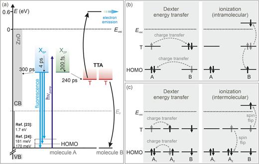 FIG. 8. (a) Overview of the elementary processes occuring in the SP6 film upon UV photoexcitation. (b) Dexter-type TTA followed by intramolecular Auger decay where a doubly excited state couples to a continuum.37 (c) Dexter triplet energy transfer followed by intermolecular Auger decay leading to TTA. See the text for details. 
