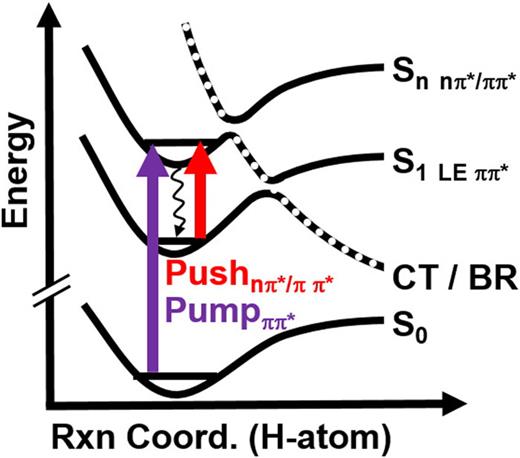 Cartoon potential energy diagram showing a photochemical proton transfer reaction driven by an electronic charge transfer (CT) state, which is strongly stabilized by the proton transfer, resulting in the formation of a biradical (BR). The push pulse populates higher excited states (Sn), which can efficiently couple to the CT state. Adapted with permission from Corp et al., J. Phys. Chem. C 124, 9151 (2020). Copyright 2020 American Chemical Society.