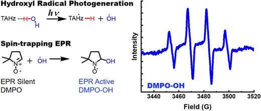 Photoinduced H-atom abstraction from water by TAHz under 365 nm illumination yields hydroxyl radicals. The hydroxyl radicals can be effectively scavenged using a spin-trapping reagent such as 5,5-dimethyl-1-pyrroline N-oxide (DMPO) to form a long-lived radical adduct (DMPO-OH), which can be detected by EPR, DMPO itself being EPR silent. The EPR spectrum on the right shows the diagnostic signature of the photogenerated DMPO-OH adduct that is formed as a result of TAHz illumination in water.