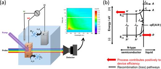 (a) Transient absorption (TA) spectroscopy can be used in situ to probe charge carriers in photoelectrodes on time scales ranging from femtoseconds to seconds. (b) Photoanode internal efficiency is determined by the kinetic competition between positively contributing pathways (red, electron extraction and hole transfer across the SCLJ) and recombination pathways including bulk recombination giving rise to a current density (Jbr), recombination in the depletion region (Jdr), surface state (trap) mediated recombination (JSS), and electron transfer (Jet) and tunneling (Jt) to intermediates of the water oxidation reaction. (b) Adapted with permission from Lewis, Inorg. Chem. 44, 6900–6911 (2005). Copyright 2005 American Chemical Society.