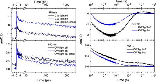 TA kinetic traces on the ps time scale (left) and μs–s time scale (right) at 575 nm (top) and 650 nm (bottom) following 355 nm excitation of α-Fe2O3−x held at 0.4 VAg/AgCl in 1M NaOH electrolyte. In situ experiments with no additional CW light are shown in black, and operando measurements using a CW LED are in blue. To facilitate comparison between the in situ and operando ps–ns traces, we have applied an offset to the operando traces to align the change in OD at negative times to that of the in situ measurement, denoted as “CW light on, offset.”