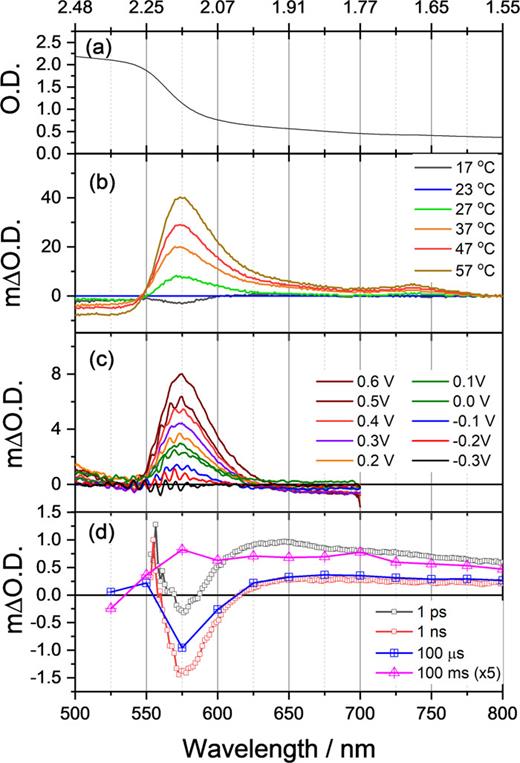 UV/Vis spectra and difference spectra of α-Fe2O3−x in 1M NaOH. At the open circuit, room temperature (a). Change in optical density of α-Fe2O3−x held at 0.4 VAg/AgCl as a function of temperature, and data are shown as difference spectra vs 23 °C (b). Change in optical density of α-Fe2O3−x at 23 °C as the applied bias is changed with the electrode in the dark vs a potential of −0.3 VAg/AgCl (c). TA spectra of α-Fe2O3−x at an applied bias of 0.4 VAg/AgCl following 355 nm excitation (d). Spectra are at selected time scales and extracted from the data shown in Fig. 2 in the absence of a CW light source.