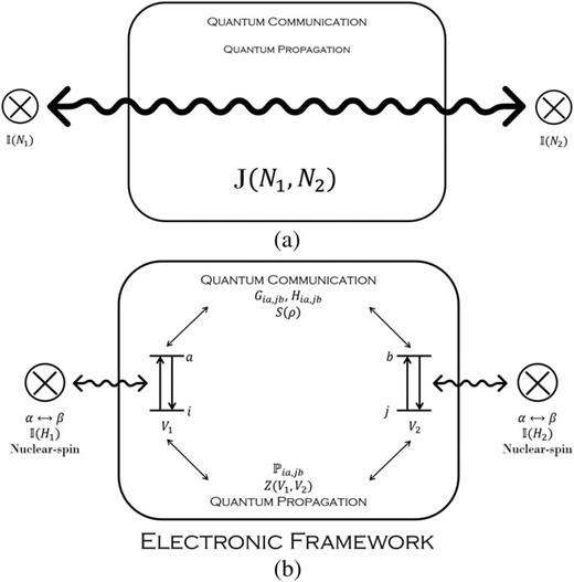 FIG. 1. The transmission of indirect interactions among two nuclear spins N1 and N2 (its nuclear-spin flip-flop) is carried out by the electronic framework. Different quantum tools can be used to describe two aspects of such transmission: quantum communication and quantum propagation of external perturbations. (a) Experiments measure J-couplings. (b) The formalism of the polarization propagator describes two different quantum phenomena: quantum communication and quantum propagation of external perturbations.