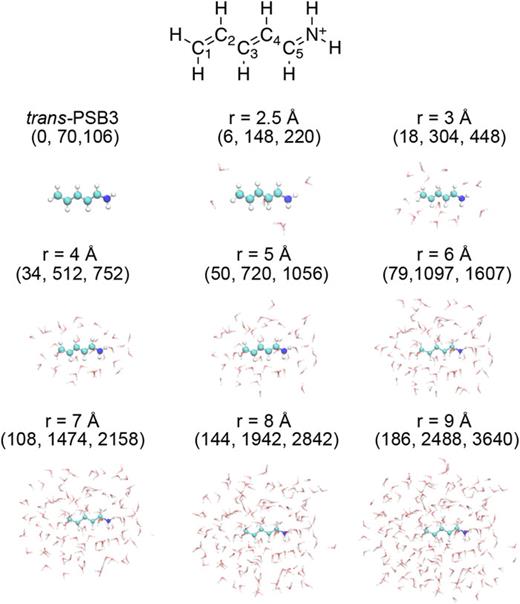 FIG. 2. Structures for the benchmark systems, trans-PSB3 with increasing levels of microsolvation by water molecules. For each system, the number of water molecules and the number of orbitals with 6-31G and 6-31G* basis sets are listed in parentheses. Water molecules are included in the clusters according to a distance cutoff increasing from 2.5 Å to 9 Å. Carbon, nitrogen, oxygen, and hydrogen are shown in cyan, blue, red, and white, respectively.