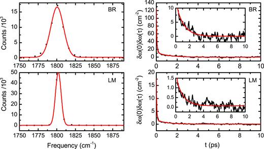 FIG. 1. Distributions and autocorrelation functions of the predicted amide I frequencies in the MD trajectories using BR (top panels) and LM (bottom panels) algorithms. Insets show the long time component of the frequency autocorrelation functions.