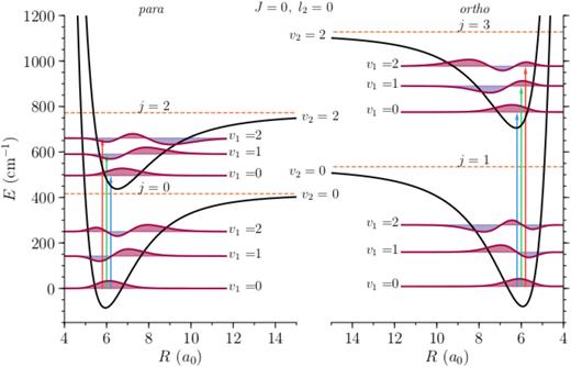 FIG. 1. Adiabatic potential energy curves for the v2 = 0 and 2 bending vibrations as a function of the Cl−–H2 distance for para (left side) and ortho (right side) Cl−(H2) for the total angular moment J = 0 and the vibrational angular momentum l2 = 0 (therefore, the v2l2=11 levels are not shown). The eigenvalues and eigenfunctions of the v1 stretching vibration are shown for the first three vibrational levels for each plotted v2 level. The vertical arrows show dipole-allowed vibrational transitions starting from the para and ortho vibrational ground states.