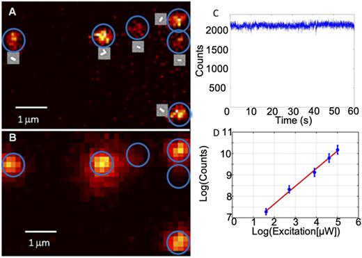 (a) Emission image of AuNRs. Correlated SEM images of the AuNRs are shown next to the emission signal. (b) Corresponding DFS image. Adapted with permission from Fang et al., ACS Nano 6, 7177–7184 (2012). Copyright 2012 American Chemical Society. (c) Emission time trajectory of a single AuNR immobilized on a glass substrate. The emission signal is stable for minutes, without blinking or photobleaching. (d) Single AuNR emission intensity as a function of laser excitation power at 514 nm. Error bars were obtained by measuring at least six single AuNRs. The linear trend demonstrates a one-photon excitation process. Adapted with permission from Tcherniak et al., J. Phys. Chem. C 115, 15938–15949 (2011). Copyright 2011 American Chemical Society.