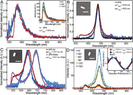 (a) DFS (blue) and 514 nm excited emission (red) spectra of a 45 nm diameter gold nanosphere. The inset shows emission spectra with varied detection polarization. (b) DFS (blue) and emission spectra of a 27 × 75 nm AuNR excited at 514 nm (red) and 633 nm (black). (c) DFS (blue and cyan) and 514 nm excited emission (red and magenta) spectra of a 33 × 70 nm AuNR surrounded by air and water, respectively, with the corresponding SEM image given by the inset. (d) Emission spectra of a 34 × 68 nm AuNR, shown in the SEM image, with 514 nm circularly polarized excitation and varied detection polarization. The inset demonstrates the intensity as a function of detected polarization obtained by integrating the spectra over the entire acquisition range and then normalizing the maximum value for emission excited at 514 nm (red) and 633 nm (black) as well as for DFS (blue). The error bars were extracted from at least three spectra acquired for each polarization. The excitation light was unpolarized for DFS measurements. The detection polarization angle quoted is relative to the laboratory x axis. All scale bars correspond to 100 nm. Adapted with permission from Tcherniak et al., J. Phys. Chem. C 115, 15938–15949 (2011). Copyright 2011 American Chemical Society.