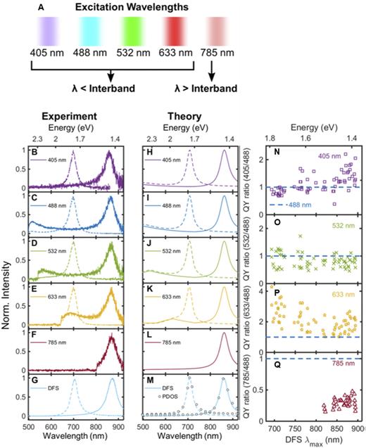 (a) Schematic of excitation sources used in emission experiments and their relation to the interband gap of gold. Representative single particle emission spectra of a low aspect ratio AuNR (dashed lines) and high aspect ratio AuNR (solid lines) with 405 (b), 488 (c), 532 (d), 633 (e), and 785 nm (f) excitation. The LSPR maxima of the AuNRs, as determined from DFS spectra [(g) and (m)], are 704 and 871 nm. Simulated emission spectra of these AuNRs for 405 (h), 488 (i), 532 (j), 633 (k), and 785 nm (l) excitation. (m) Simulated DFS spectra. The QYs of single AuNRs were calculated for each excitation wavelength. The QYs normalized by the corresponding values obtained for 488 nm excitation are plotted against the AuNR λmaxDFS: 405 (n), 532 (o), 633 (p), and 785 nm (q). The blue dashed line indicates a ratio of 1. Adapted with permission from Cai et al., ACS Nano 12, 976–985 (2018). Copyright 2018 American Chemical Society.