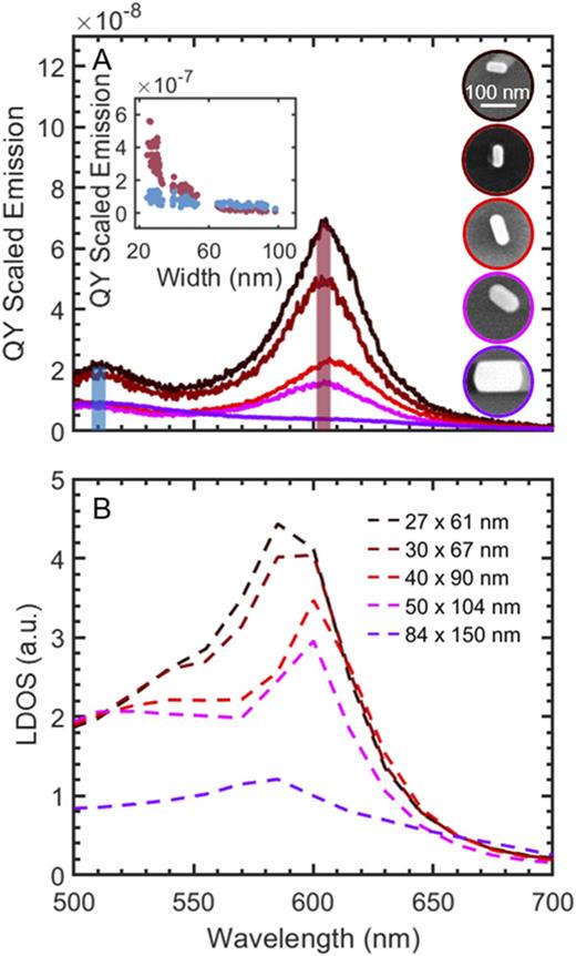 (a) QY scaled emission spectra of five AuNRs with their correlated SEM images shown on the right. The aspect ratio was kept almost the same, while the absolute sizes increased from 27 × 61 nm, 30 × 67 nm, 40 × 90 nm, 50 × 104 nm, to 84 × 150 nm. Inset: emission intensity integrated over the wavelength ranges indicated by the blue and red vertical bars for all 120 AuNRs used in this study. The blue bar is centered at 510 ± 3 nm corresponding to the region where interband transitions dominate, and the red bar is centered around the emission resonance maximum λmaxPL ± 3 nm, close to the longitudinal LSPR. (b) LDOS simulations of the AuNRs shown in (a) and calculated near the boundary of the AuNRs using the finite element method. Adapted with permission from Ostovar et al., ACS Nano 14, 15757 (2020). Copyright 2020 American Chemical Society.