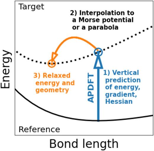 APDFT predictions of gradients and Hessians enable efficient geometry relaxation of target molecules. The predictive accuracy improves with Morse potential interpolation.