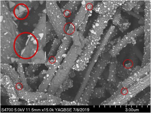 FIG. 1. TEM image of Ag nanoplatelets on TiO2 nanorods. Reprinted with permission from Kuhn et al., J. Phys. Chem. C 123(32), 19579–19587 (2019). Copyright 2019 American Chemical Society.21 (Fig. S7, supplementary material).
