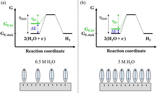 FIG. 8. Illustration of the proposed mechanism by which plasmonic photopotentials depend on the concentration of H2O molecules in an electrolytic acetonitrile solution. Under plasmonic excitation conditions, hot electrons accumulate on the electrode surface and hot holes are quenched by the externally applied voltage. Polar H2O molecules stabilize the photocharged electrode effectively increasing the activation energy (η). (a) and (b) Relatively higher concentrations of H2O stabilize the photocharged electrode more than relatively lower concentrations of H2O, yielding differences in effective photopotentials (ΔE) developed via plasmon excitation.