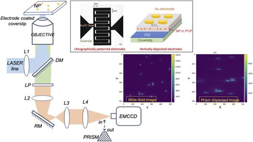 FIG. 2. Schematics of the wide-field spectrally resolved microscope. DM: dichroic mirror, L1-L4: lenses, LP: long pass filter, RM: reflective mirror, and EMCCD: electron-multiplying charged couple device. When the prism is inserted into the optical path, individual point spread functions (PSFs) coming from single NPs get dispersed into spectrally resolved lines. For QCSE measurements, the EMCCD acquisition is synchronized to an externally applied square wave voltage pulse. Inset: the top panel showing lithographically patterned and vertically deposited electrode design. Inset: the bottom panel showing wide-field and prism dispersed images. Reproduced with permission from Park et al., ACS Nano 6, 10013 (2012). Copyright 2012, American Chemical Society and reproduced with permission from Kuo et al., ACS Photonics 5, 4788 (2018). Copyright 2018, American Chemical Society.