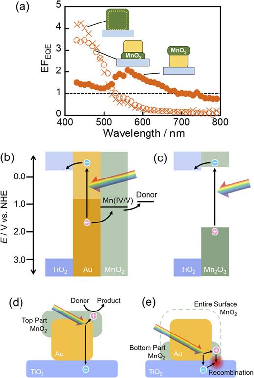 FIG. 4. (a) EQE enhancement factor (EFEQE) for AuNC-deposited TiO2 electrodes after site-selective deposition of MnO2. (b) Energy band diagram of the TiO2–Au–MnO2 system and (c) that for TiO2–Mn2O3 system. Schematic illustrations for the co-catalytic effect of MnO2 introduced to (d) the top part and (e) the bottom part of the AuNC.