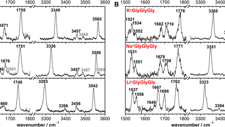 The impact of the electric field of metal ions on the vibrations and ...