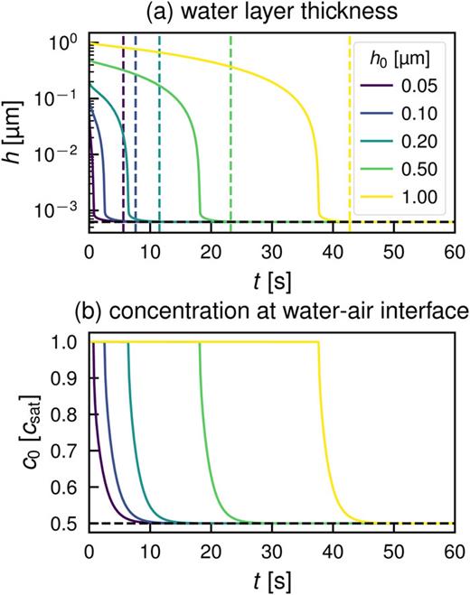 FIG. 5. Temporal evolution of (a) the water layer thickness and (b) the concentration of water vapor at the water–air interface. The equilibrium times are marked by colored vertical lines. The horizontal dashed line is (a) the equilibrium height and (b) the relative humidity, respectively.