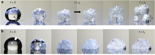 Dynamics of evaporative ejection. (a) Growth and ejection of a crystal structure during evaporation of a 5 µl saline drop on a nano-textured superhydrophobic substrate heated to 85 °C. (b) Growth of a crystal structure without ejection during evaporation of a 5 µl saline drop on a smooth, hydrophobic substrate heated to 85 °C.