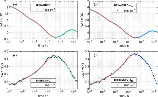 Time-depended QCL measurements at single wavenumbers. De- and reprotonation dynamics of the Schiff base monitored at 1188 cm−1 for BR in (a) DSPC and (b) deuterated DSPC-d70. Protonation dynamics of the primary proton acceptor Asp85 observed at 1760 cm−1 for BR in (c) DSPC and (d) deuterated DSPC-d70. The data fits (red lines) until ∼430 µs show the coincidence of the deprotonation dynamics of the Schiff base with the protonation dynamics of Asp85.