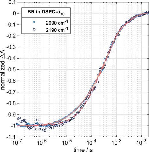 Normalized QCL measurements of deuterated lipid chain dynamics at 2190 cm−1 (open circles) and 2090 cm−1 (filled dots). The fits (red) were performed with Eq. (4), and the derived time constants are in Table II. The transients are linked to the antisymmetric and symmetric stretching of CD2.