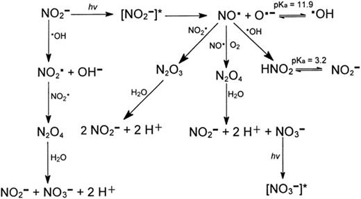 亜硝酸塩からのラジカルに対するカチオンの効果(Cation Effects on Radicals from Nitrite) 亜硝酸塩からのラジカルに対するカチオンの効果(Cation Effects on Radicals from Nitrite)