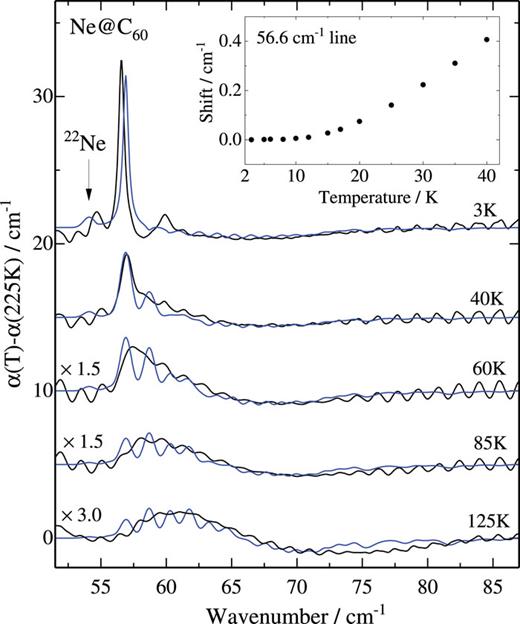 THz differential absorption spectra of Ne@C60 at different temperatures (black) and the differential spectra calculated with the best fit parameters from Table I (blue). The line shape is assumed to be Lorentzian at 3 K (FWHM = 0.5 cm−1) and Gaussian (FWHM = 1.0 cm−1) for temperatures of 40 K and higher. The intensities of the 60, 85, and 125 K differential spectra have been multiplied by factors of 1.5 and 3. The inset shows the temperature dependence of the main peak frequency shift, ω01(T) − ω01(3 K), between 3 and 40 K.
