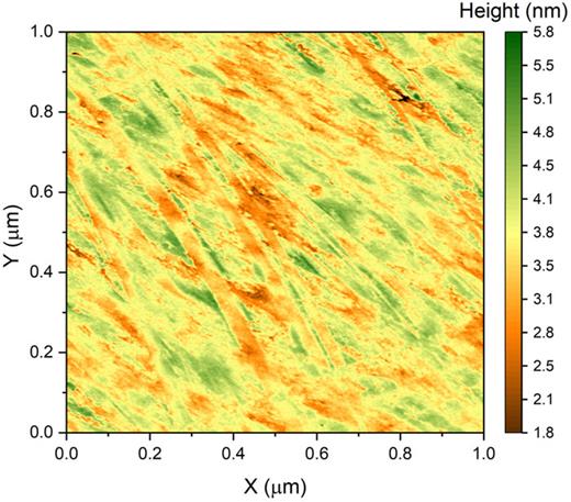 The surface height of the silica substrate as obtained from AFM topography measurements (1024 × 1024 data points) over a square area with the side 1 µm. The topography was used when calculating the green C(q) curve in Fig. 1.